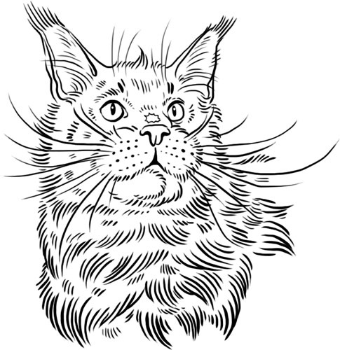 Иллюстрация к книге — О лебединых крыльях, котах и чудесах [i_032.jpg]