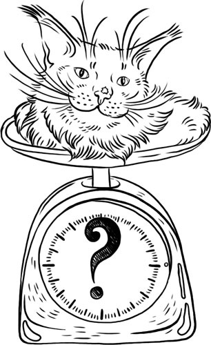 Иллюстрация к книге — О лебединых крыльях, котах и чудесах [i_037.jpg]