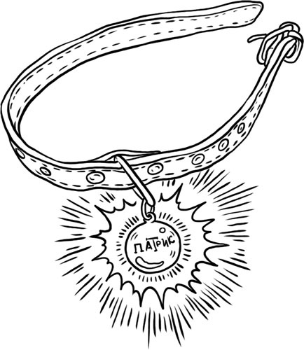 Иллюстрация к книге — О лебединых крыльях, котах и чудесах [i_039.jpg]