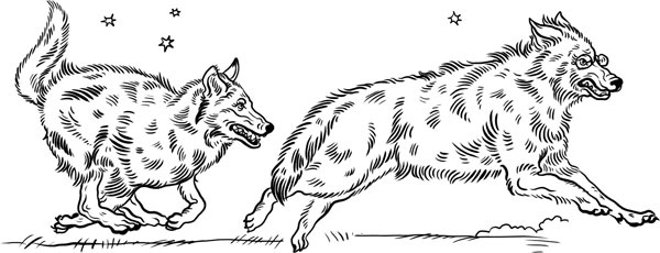 Иллюстрация к книге — О лебединых крыльях, котах и чудесах [i_048.jpg]