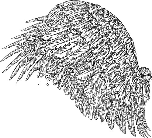 Иллюстрация к книге — О лебединых крыльях, котах и чудесах [i_052.jpg]