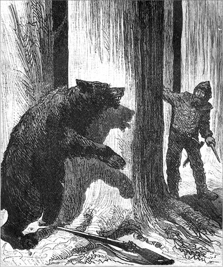 Иллюстрация к книге — Из Парижа в Бразилию по суше [i_032.jpg]