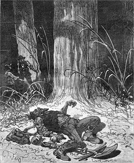 Иллюстрация к книге — Из Парижа в Бразилию по суше [i_041.jpg]