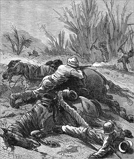 Иллюстрация к книге — Из Парижа в Бразилию по суше [i_053.jpg]