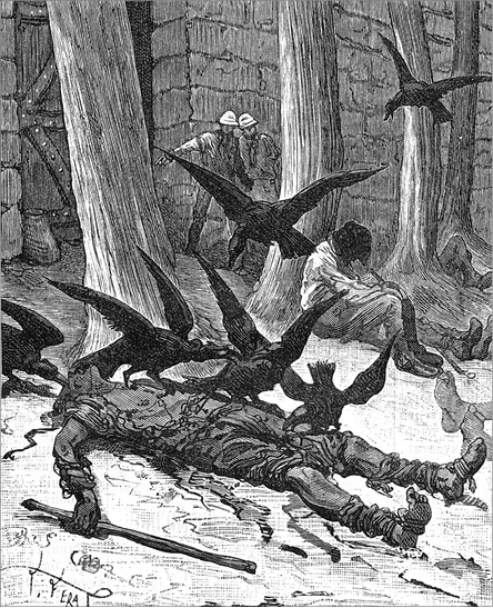 Иллюстрация к книге — Из Парижа в Бразилию по суше [i_061.jpg]