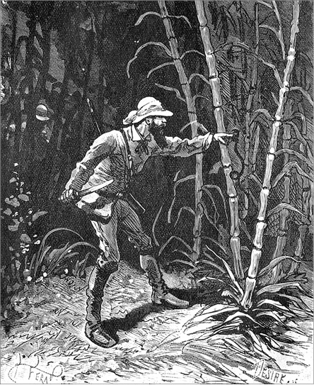 Иллюстрация к книге — Из Парижа в Бразилию по суше [i_064.jpg]