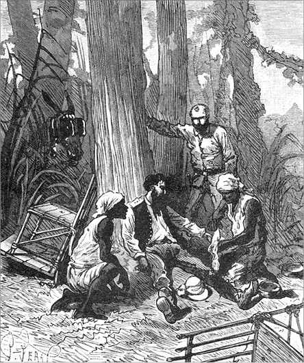 Иллюстрация к книге — Из Парижа в Бразилию по суше [i_065.jpg]