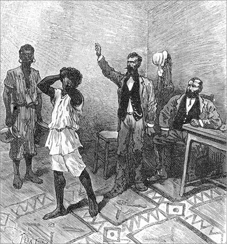 Иллюстрация к книге — Из Парижа в Бразилию по суше [i_073.jpg]