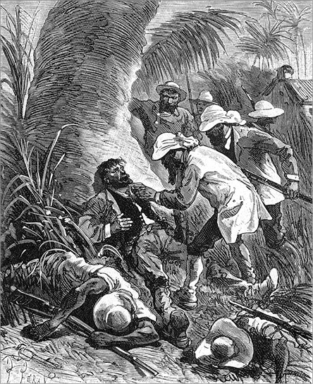 Иллюстрация к книге — Из Парижа в Бразилию по суше [i_080.jpg]