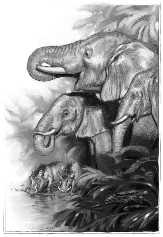 Иллюстрация к книге — Естественная история драконов. Мемуары леди Трент. Тропик Змеев [i_004.jpg]