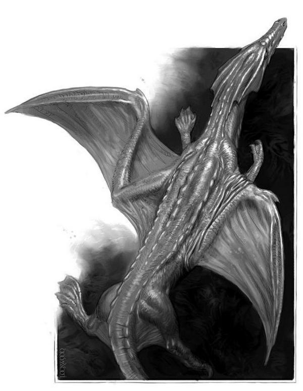 Иллюстрация к книге — Естественная история драконов. Мемуары леди Трент. Тропик Змеев [i_007.jpg]