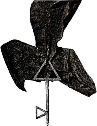 Иллюстрация к книге — Тайные архивы русских масонов [image19.jpg]