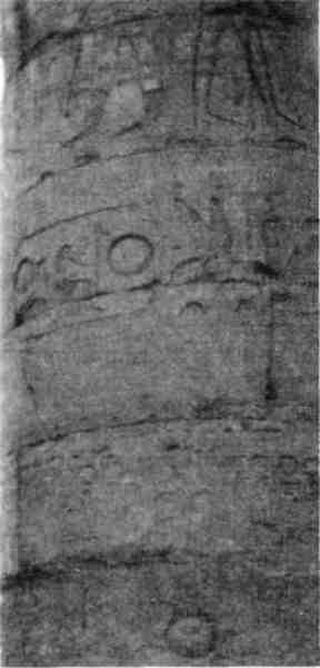 Иллюстрация к книге — Матрица Скалигера [fb2tobdim_4.jpg]