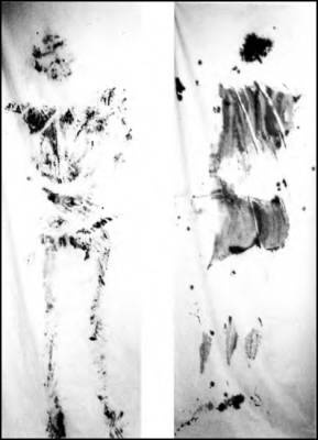 Иллюстрация к книге — Второй мессия [i_035.jpg]