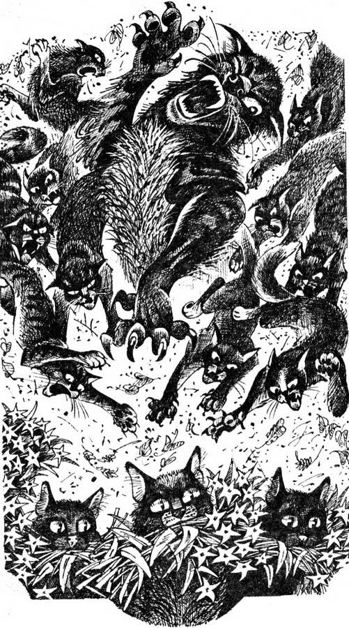 Иллюстрация к книге — Сверкающая Звезда [pic_1.jpg]