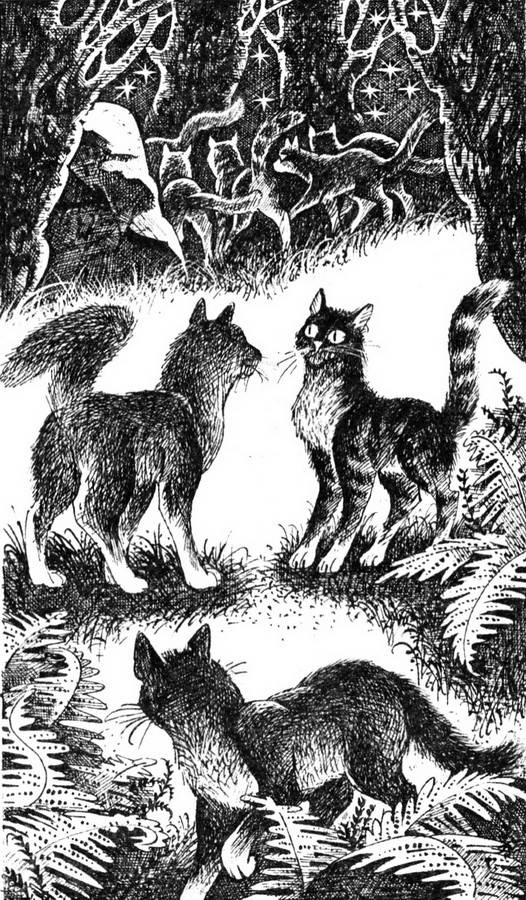 Иллюстрация к книге — Сверкающая Звезда [pic_2.jpg]