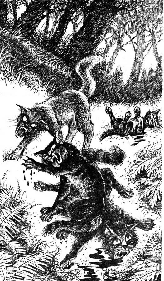 Иллюстрация к книге — Сверкающая Звезда [pic_3.jpg]