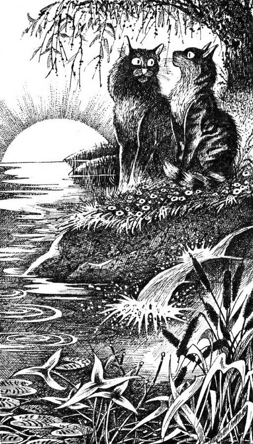 Иллюстрация к книге — Сверкающая Звезда [pic_4.jpg]