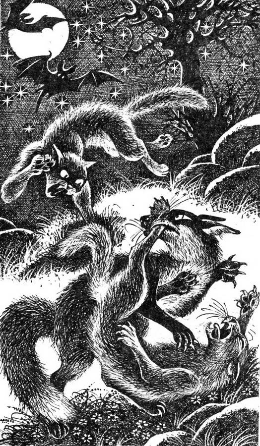 Иллюстрация к книге — Сверкающая Звезда [pic_5.jpg]