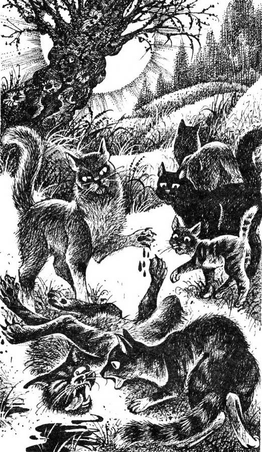 Иллюстрация к книге — Сверкающая Звезда [pic_6.jpg]