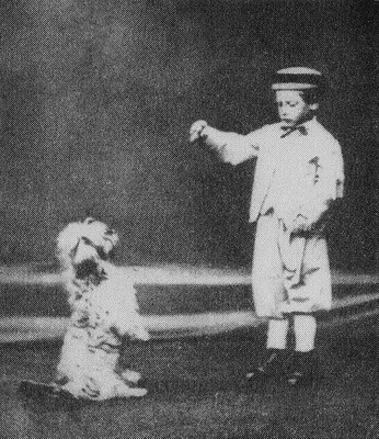 Иллюстрация к книге — Последний кайзер. Вильгельм Неистовый [pic04.jpg]