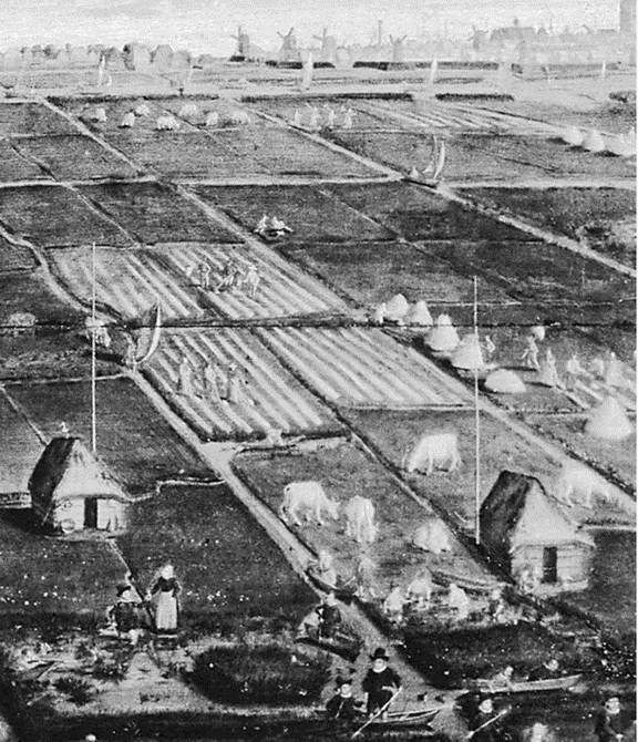 Иллюстрация к книге — Нидерланды. Каприз истории [i_011.jpg]