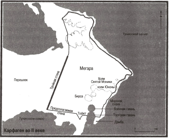 Иллюстрация к книге — Карфаген должен быть разрушен [i_018.jpg]