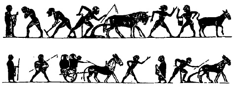 Иллюстрация к книге — Древняя Греция [i_068.jpg]