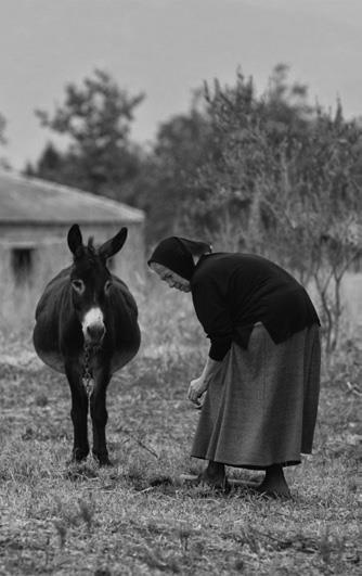 Иллюстрация к книге — Люди Грузинской Церкви. Истории. Судьбы. Традиции [i_070.jpg]