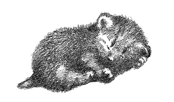 Иллюстрация к книге — Дни Савелия [i_003.jpg]