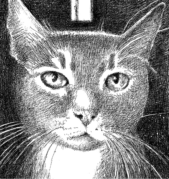 Иллюстрация к книге — Дни Савелия [i_016.jpg]