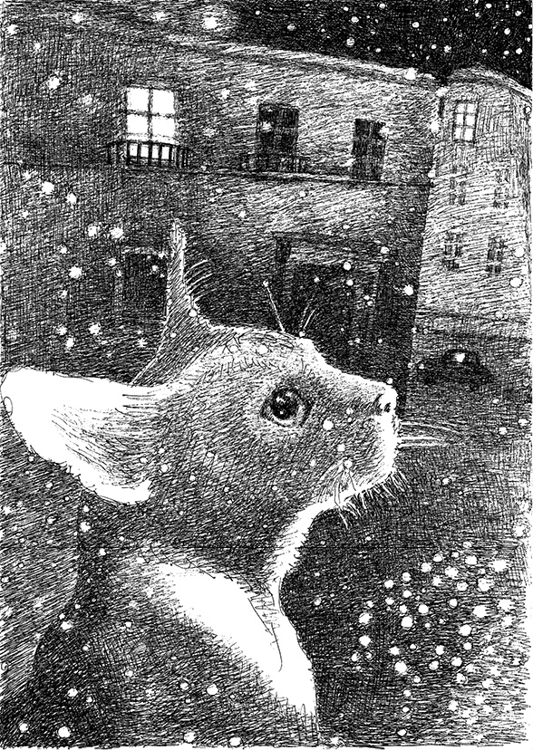 Иллюстрация к книге — Дни Савелия [i_024.jpg]