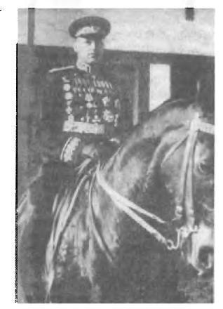 Иллюстрация к книге — Трагедия 22 июня. Блицкриг или измена? Правда Сталина [img_13.jpg]