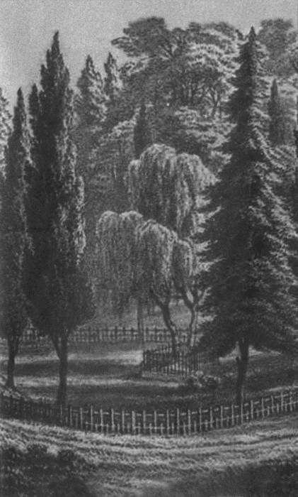 Иллюстрация к книге — Повседневная жизнь на острове Святой Елены при Наполеоне [i_006.jpg]