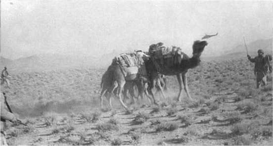 Иллюстрация к книге — Афганистан. Война разведчиков [i_118.jpg]