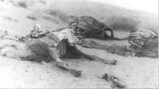 Иллюстрация к книге — Афганистан. Война разведчиков [i_119.jpg]