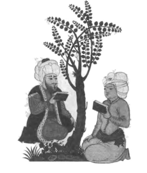 Иллюстрация к книге — Повседневная жизнь Стамбула в эпоху Сулеймана Великолепного [i_004.jpg]