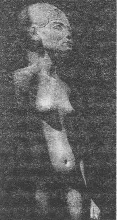 Иллюстрация к книге — Археология по следам легенд и мифов [i_045.jpg]