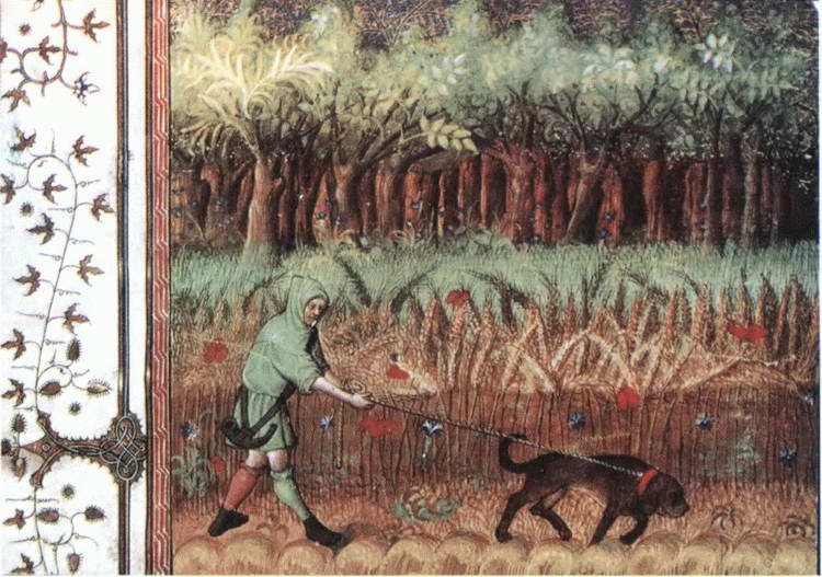 Иллюстрация к книге — Франция в эпоху позднего средневековья [i_025.jpg]