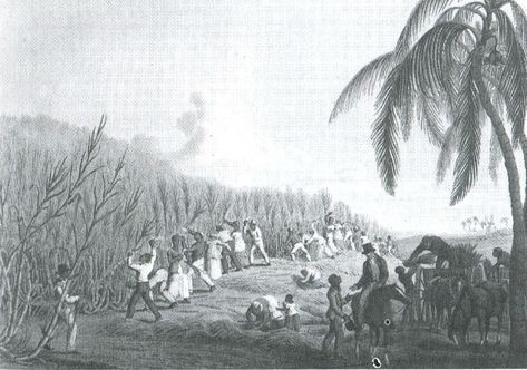 Иллюстрация к книге — 1759. Год завоевания Британией мирового господства [i_024.jpg]