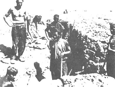 Иллюстрация к книге — Величайшая победа Роммеля [doc2fb_image_0200001c.jpg]