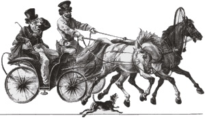 Иллюстрация к книге — Повседневная жизнь русского провинциального города в XIX веке. Пореформенный период [i_003.jpg]