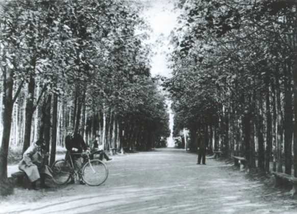 Иллюстрация к книге — Повседневная жизнь русского провинциального города в XIX веке. Пореформенный период [i_059.jpg]