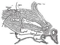 Иллюстрация к книге — Древняя Греция [i_401.jpg]