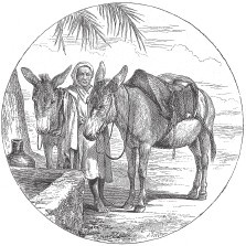 Иллюстрация к книге — Древняя Греция [i_567.jpg]