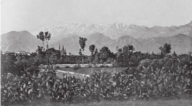 Иллюстрация к книге — Древняя Греция [i_619.jpg]