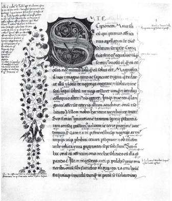 Иллюстрация к книге — Древний Рим [i_213.jpg]