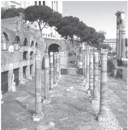 Иллюстрация к книге — Древний Рим [i_217.jpg]