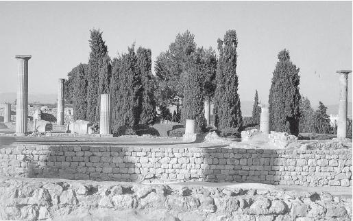 Иллюстрация к книге — Древний Рим [i_402.jpg]