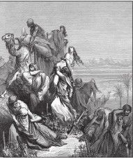 Иллюстрация к книге — Древний Восток и Азия [i_187.jpg]